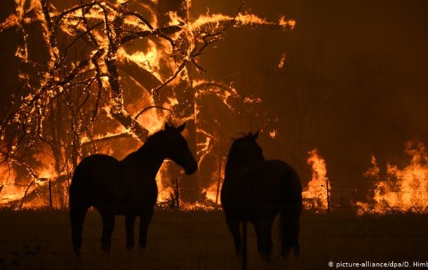 В Австралії рекордна спека посилила лісові пожежі