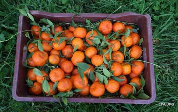 Украина нарастила импорт мандаринов на 10%
