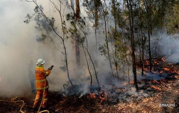 В Австралії зросла кількість жертв лісових пожеж