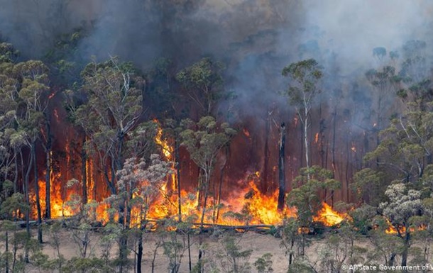 В Австралії лісові пожежі наближаються до Сіднея