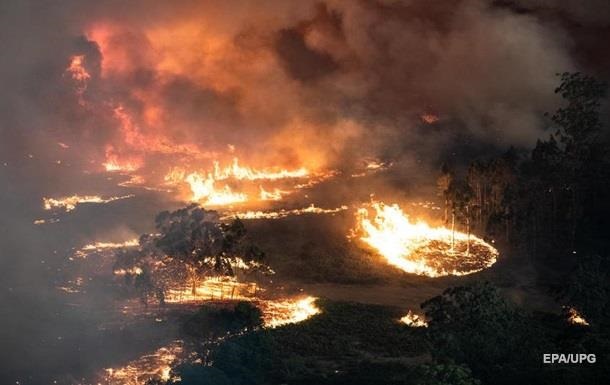Пожежі в Австралії посилилися: готується евакуація