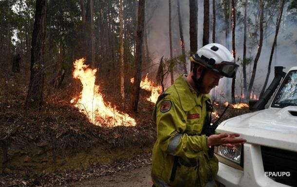 Пожежі в Австралії: на відновлення природи виділять $50 млн