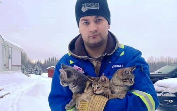 Замерзлих у лід кошенят врятували з допомогою кави