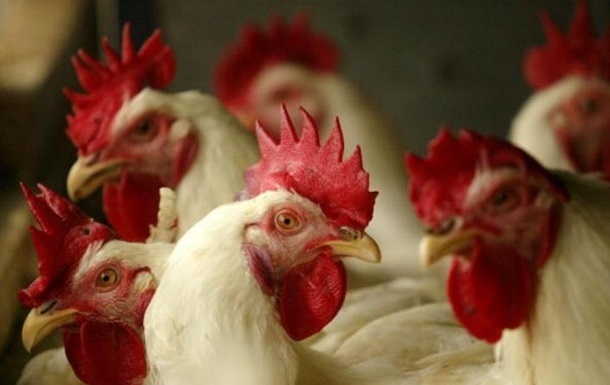 В Винницкой области ликвидировали птичий грипп