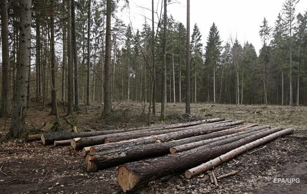 Арбитраж Украины и ЕС по лесу-кругляку перешел в активную фазу – МЭРТ