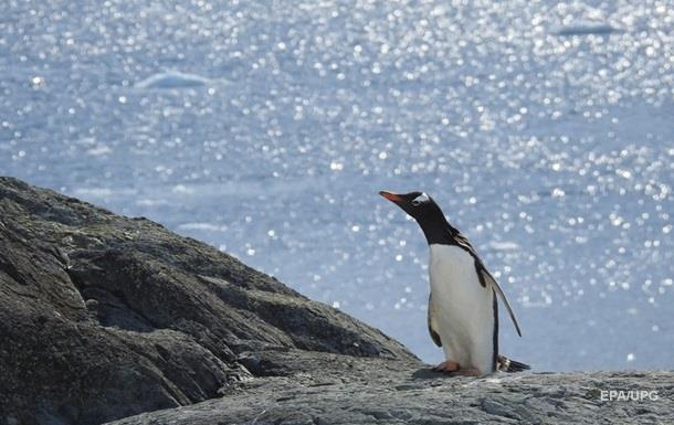 В Антарктиді зафіксували новий температурний рекорд