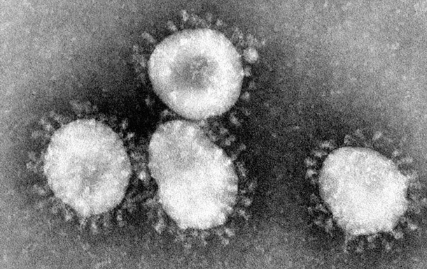 В Алматы признались в работе над коронавирусом до эпидемии