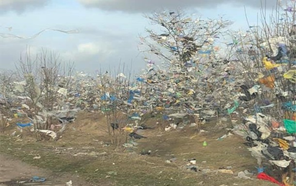 На Николаевщине тонны мусора оказались на деревьях