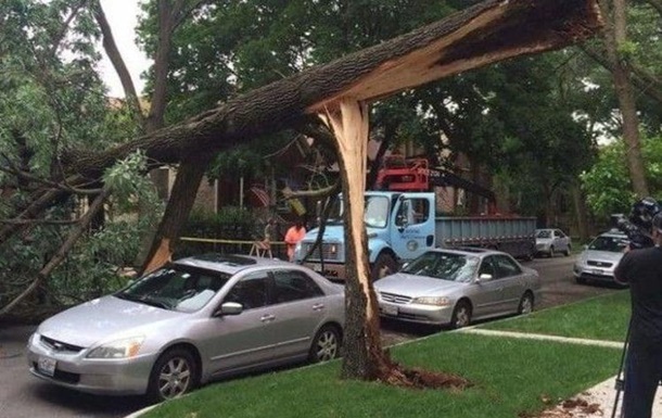 Невероятное везение спасло авто от падения дерева