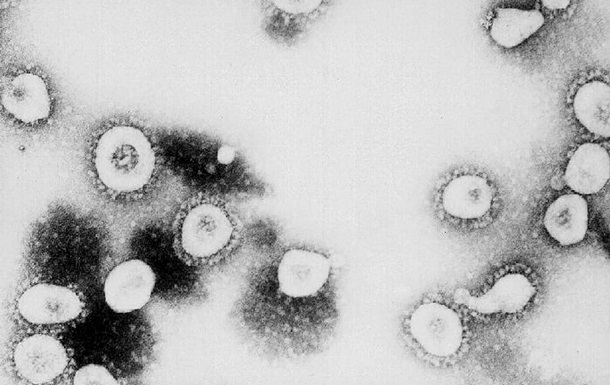 Що вчені дізналися про коронавірус до цього часу