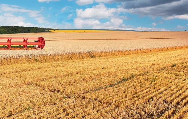 Їсти не перестануть. Чому наша сільгосппродукція затребувана за кордоном