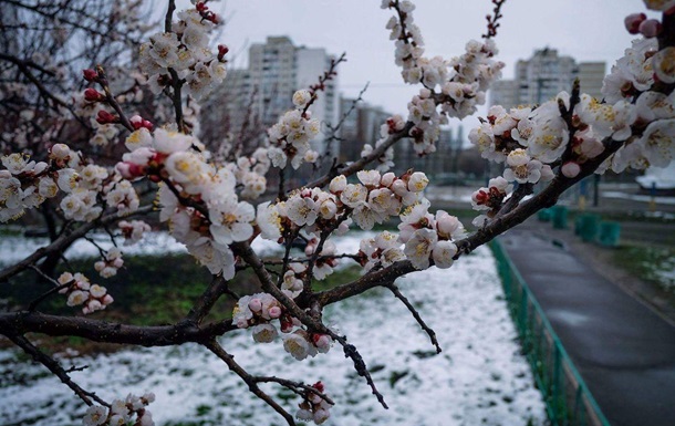 Погода на тиждень: в Україну йде потепління