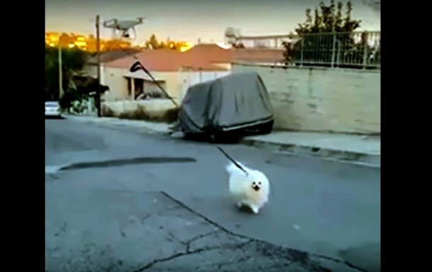 Господар на карантині вигуляв пса за допомогою дрона
