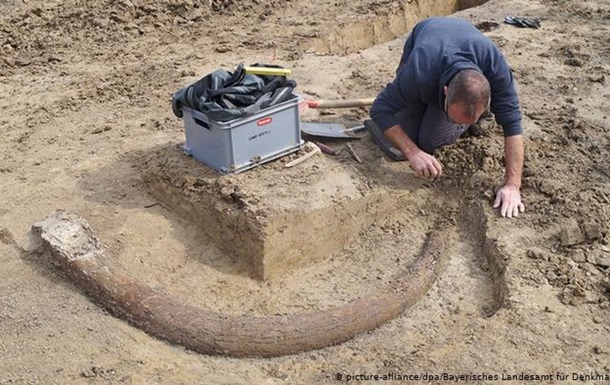 У Баварії знайшли бивень мамонта завдовжки 2,5 метра