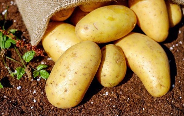 Мер Івано-Франківська дозволив городянам садити картоплю