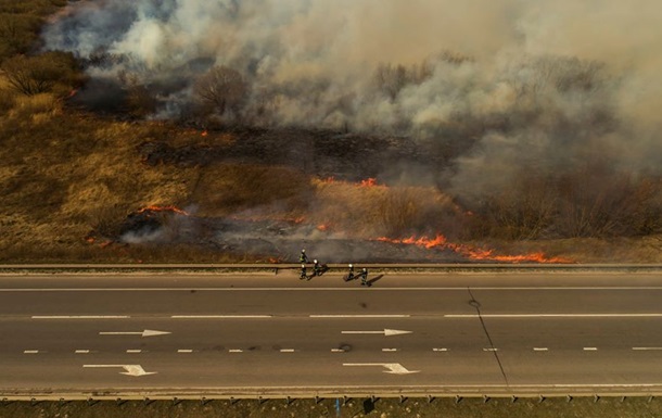 В Украине насчитали 30 масштабных лесных пожаров