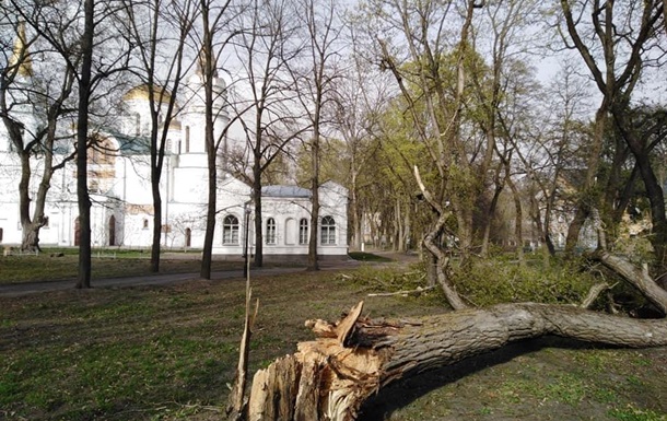 Ураган на Чернігівщині повалив дерева