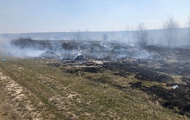 У Житомирській області зафіксували майже 50 пожеж