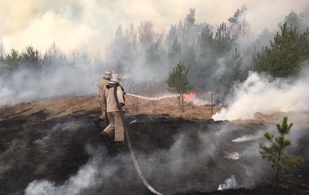 На Житомирщині згоріли вісім будинків через загоряння сухостою