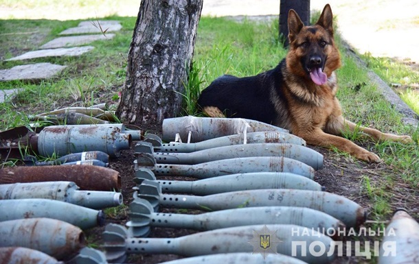 На Донбасі виявили схрон з мінами і снарядами