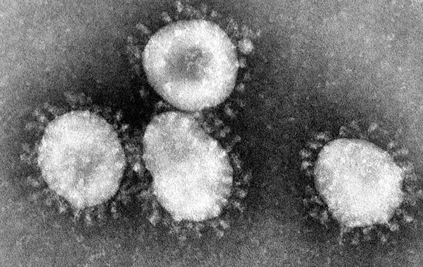 Израильские ученые выявили закономерность распространения коронавируса 