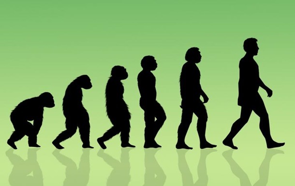 Вчені переглянули історію еволюції людини