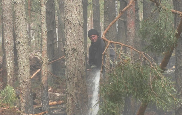 У Житомирській області локалізовані дві лісові пожежі