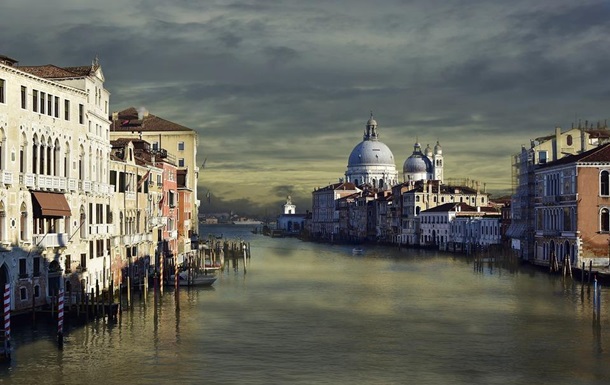 В каналах Венеции появились медузы: фото, видео