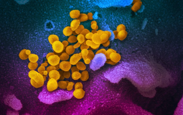 Що нового вчені дізналися про коронавірус