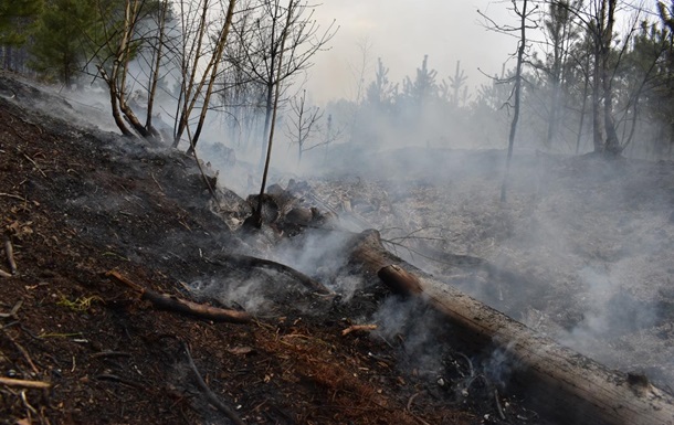 На Житомирщині та в зоні ЧАЕС гасять пожежі у семи лісництвах