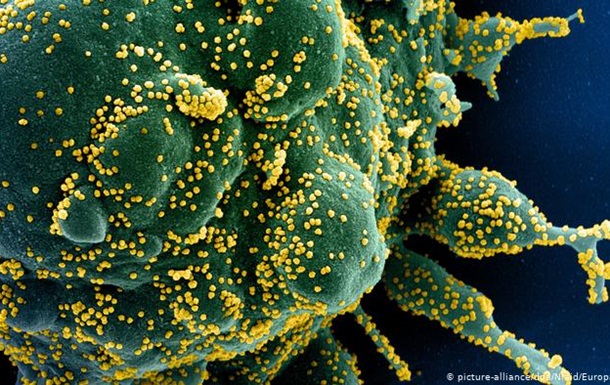 ВООЗ заявила про план боротьби з коронавірусом