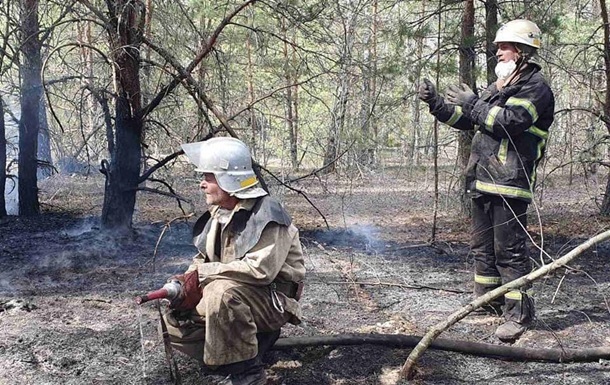 На Житомирщине потушили еще один лесной пожар