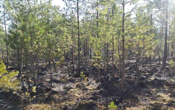 В Черниговской области потушили горевший месяц гигантский пожар