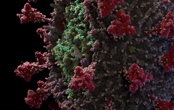 Створена найдокладніша 3D-модель коронавірусу