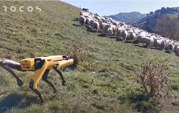 Робот-пес Spot навчився пасти овець