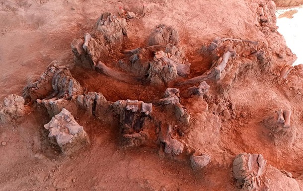 У Мексиці виявили поховання людей і мамонтів