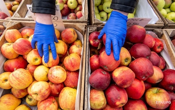 Украинские садоводы прогнозируют низкий урожай яблок 