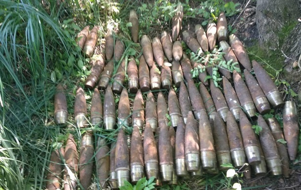 У Вінницькій області в парку знайшли понад 700 снарядів