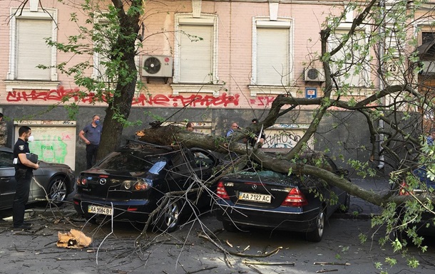 В Киеве дерево упало на автомобили
