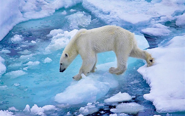 Потепління Арктики йде на 80 років швидше