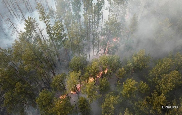В зоне ЧАЭС потушили лесной пожар на третий день