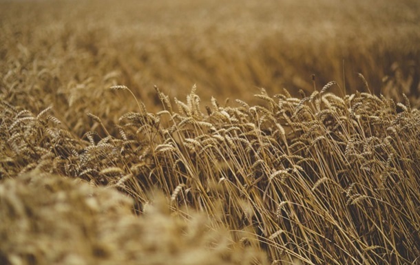 Украина обновила рекорд по экспорту зерна