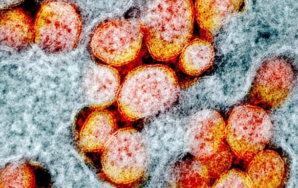 Чи зроблять мутації коронавірус менш небезпечним?