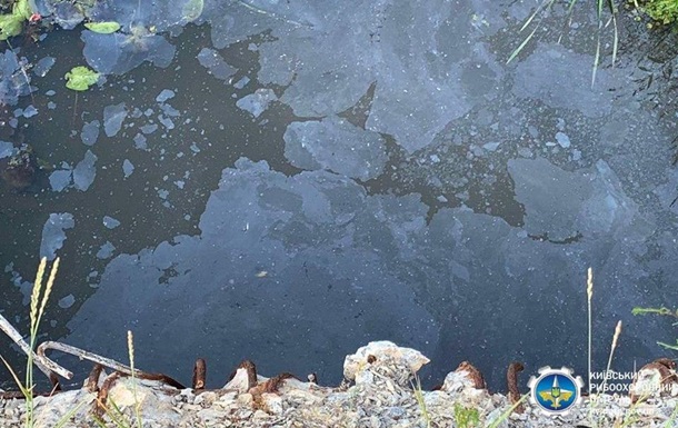 В реке на Киевщине массово гибнет рыба