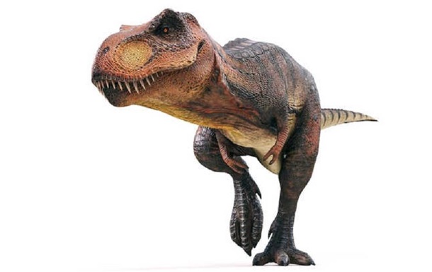 На Мадагаскаре обнаружен маленький предок динозавров
