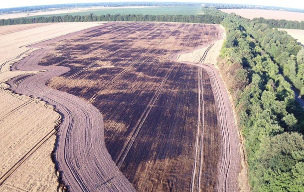 У Чернігівській області пожежі знищили поля з посівами зернових