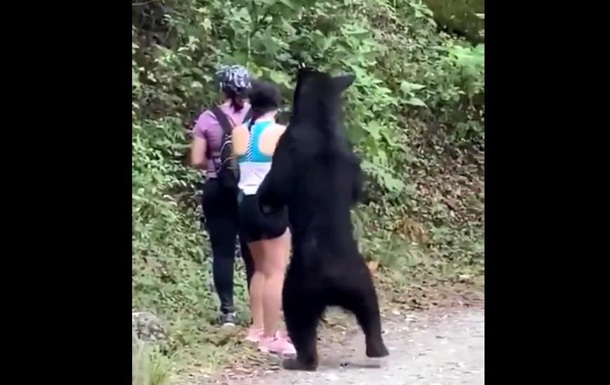 Ведмідь підкрався до туристів зробити селфі