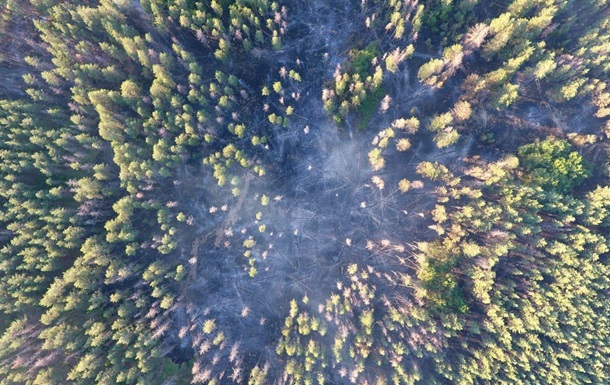 На Луганщине второй день тушат лесной пожар
