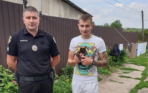На Львівщині хлопець  законсервував  кошеня: його затримала поліція