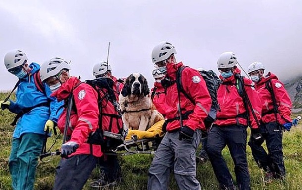 Упавшего с горы пса спасали 16 добровольцев: фото